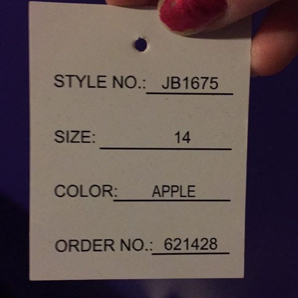 Jr dresses from David’s bridal - Picture 2 of 2